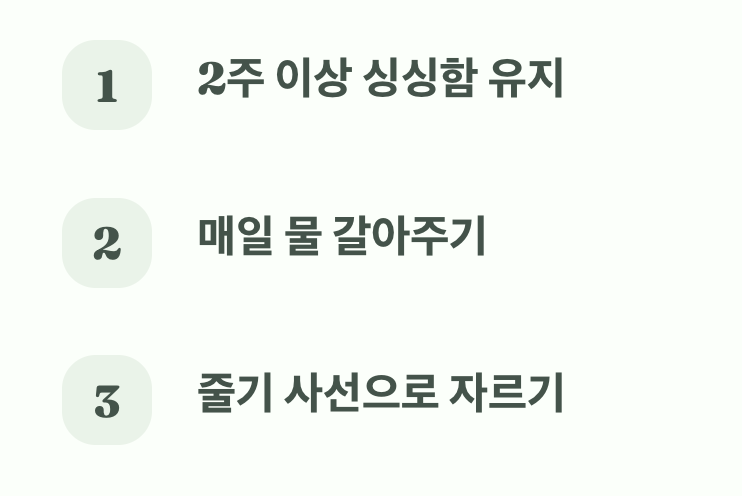 오래가는 기쁨, 긴 수명