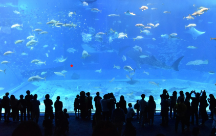 일본 오키나와 – 일본 속 남국에서 한 달 살기