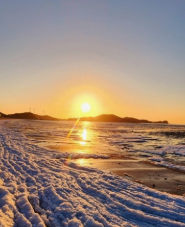 경기도 봄꽃명소