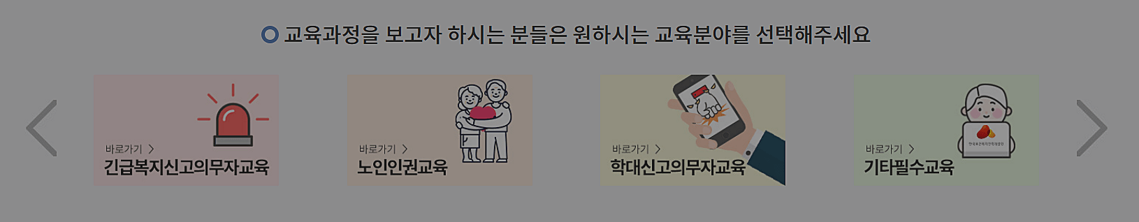 교육과정-선택