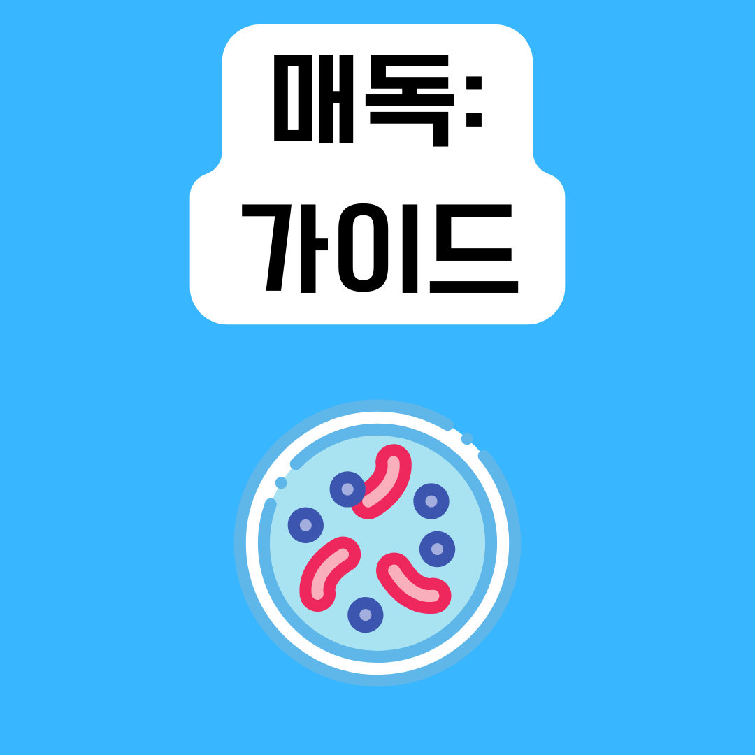 매독-알아야-할-모든-것
