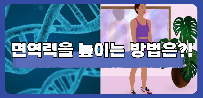 면역력을 높이는 방법 총정리! 식단, 운동, 수면 관리법