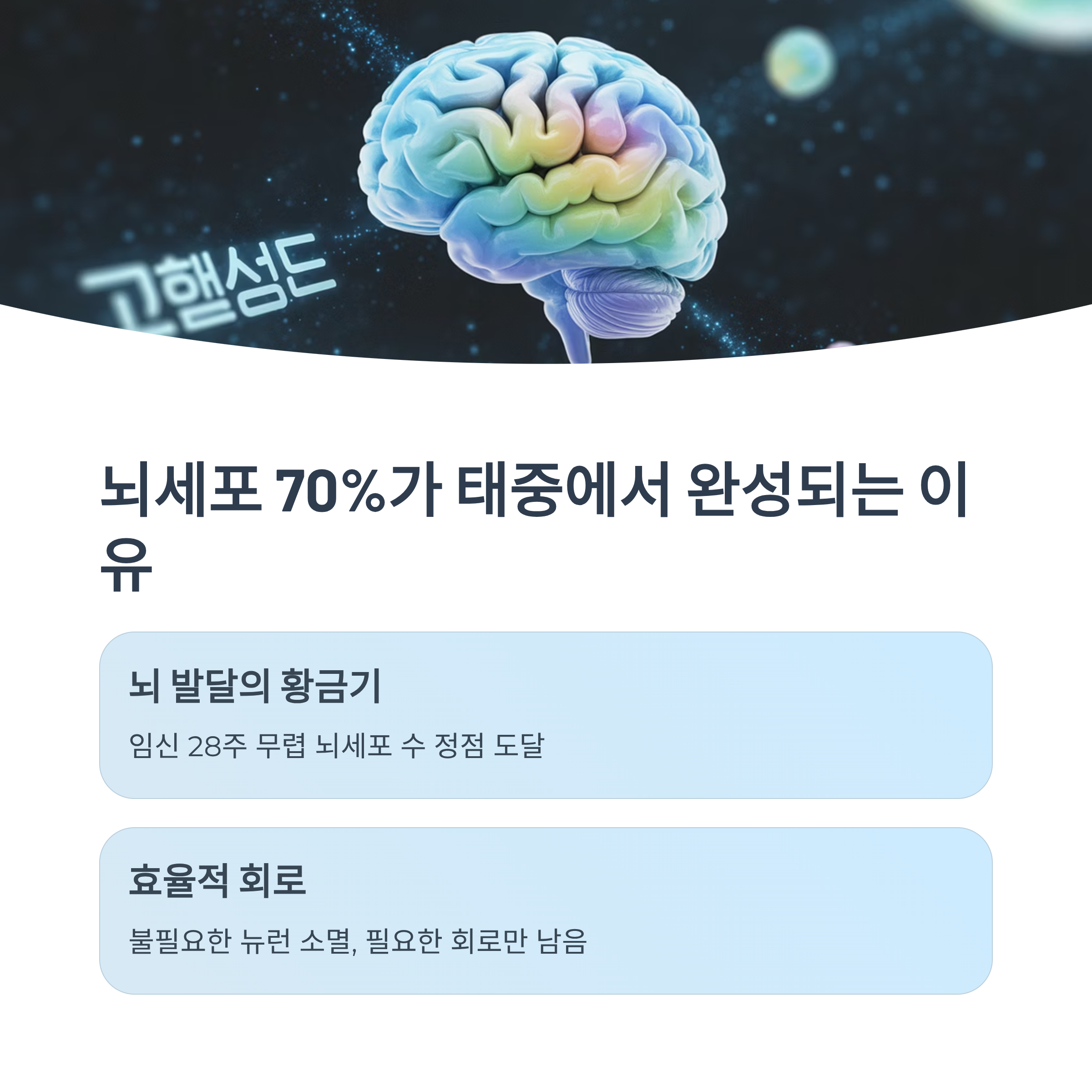 형광색으로 강조된 두뇌 이미지와 함께, 임신 중 70% 이상의 뇌세포가 형성되는 이유와 뇌 발달의 황금기를 설명하는 인포그래픽