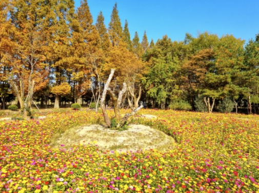 경주 천년숲정원2