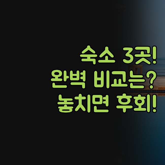 케랄라 숙소 팔리아스 켄트 베이워치 ..