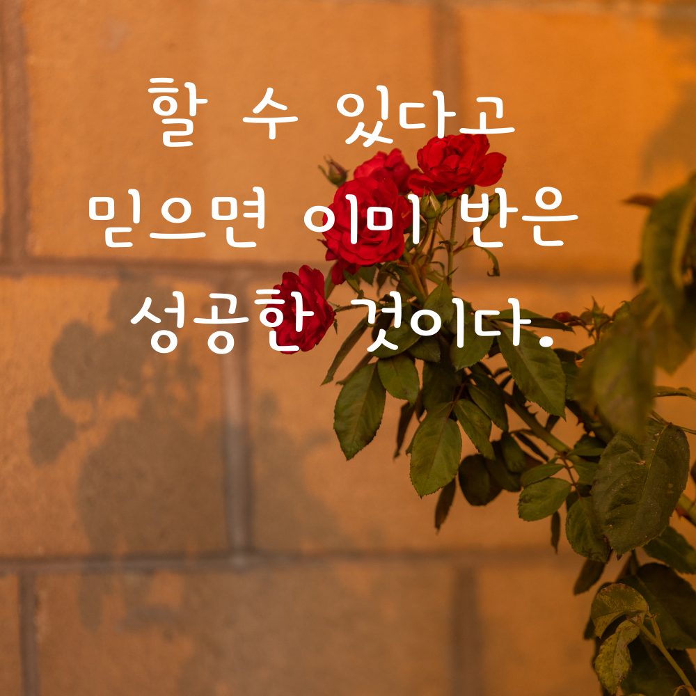 캘리그라피 짧고 좋은 글귀 인생 명언 모음