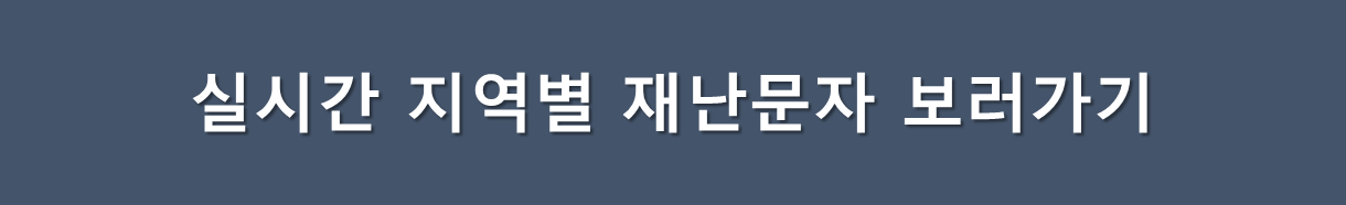 실시간 재난문자