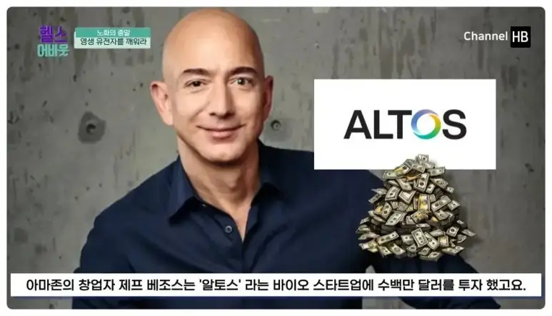 일본nmn효능