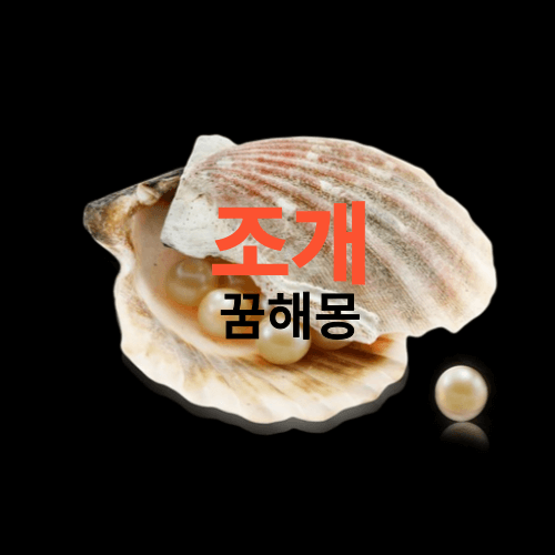 조개-꿈해몽-썸네일