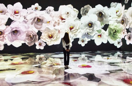 겨울축제 대관령 눈꽃축제