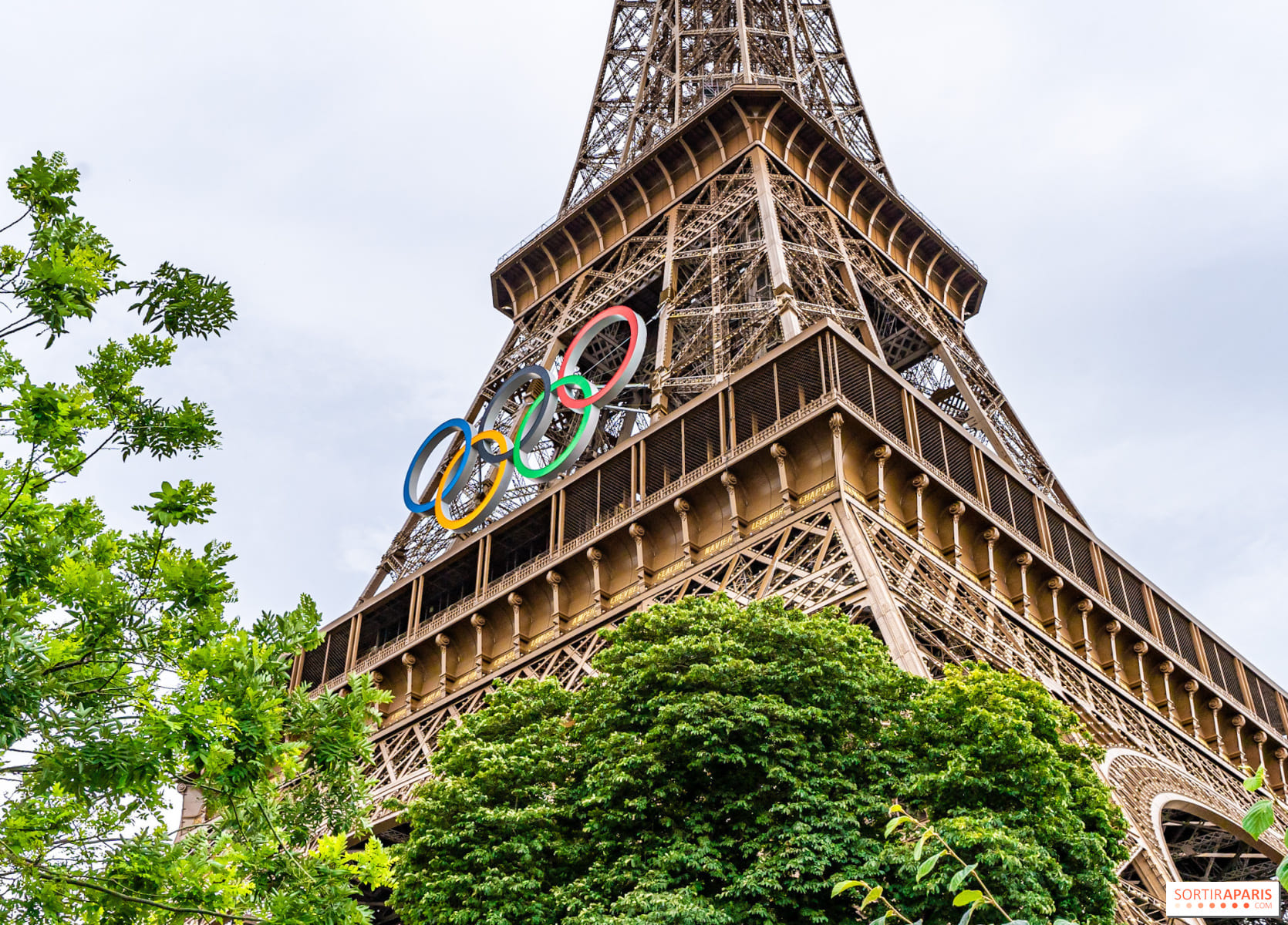 2024 파리 올림픽 일정