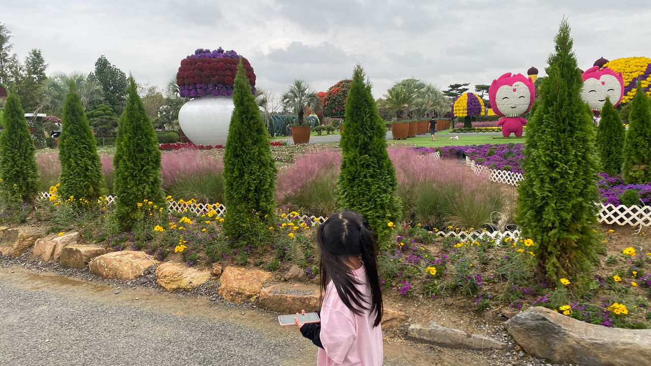 태안 가을꽃박람회를 걷고 있다.