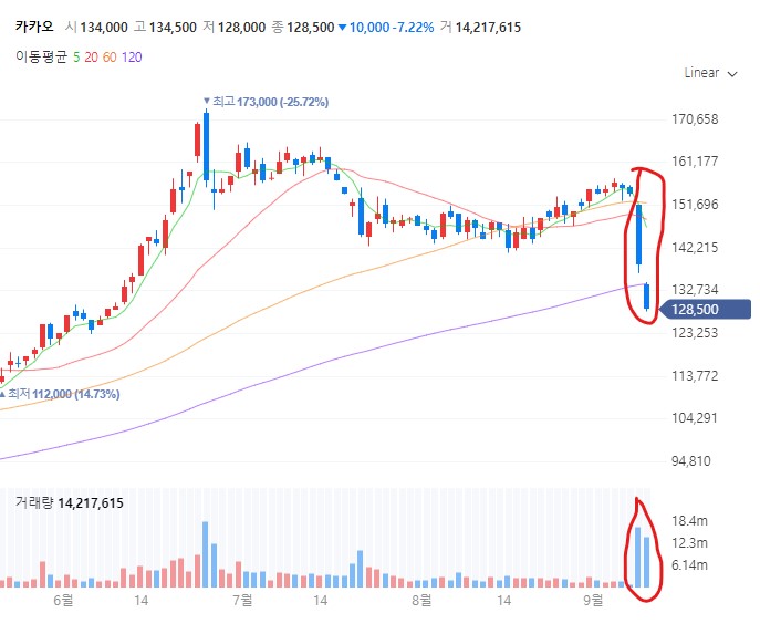카카오,네이버 주가 하락
