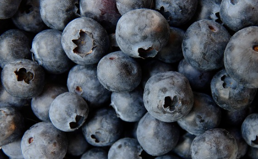 블루베리와 눈 건강의 관계