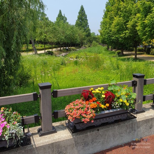 오산 물향기수목원의 나무, 꽃 전경