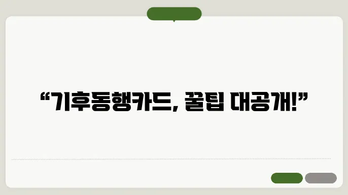 앙동행카드 신청 후 구매, 기후동행아포괴에