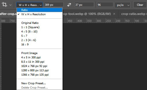 Crop 툴의 여러 가지 비율의 옵션들