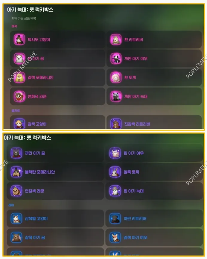 펫 종류