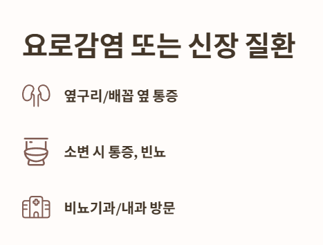 요로감염 또는 신장 질환