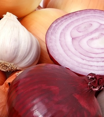 양파 효능 사진21