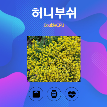 허니부쉬 알아보기