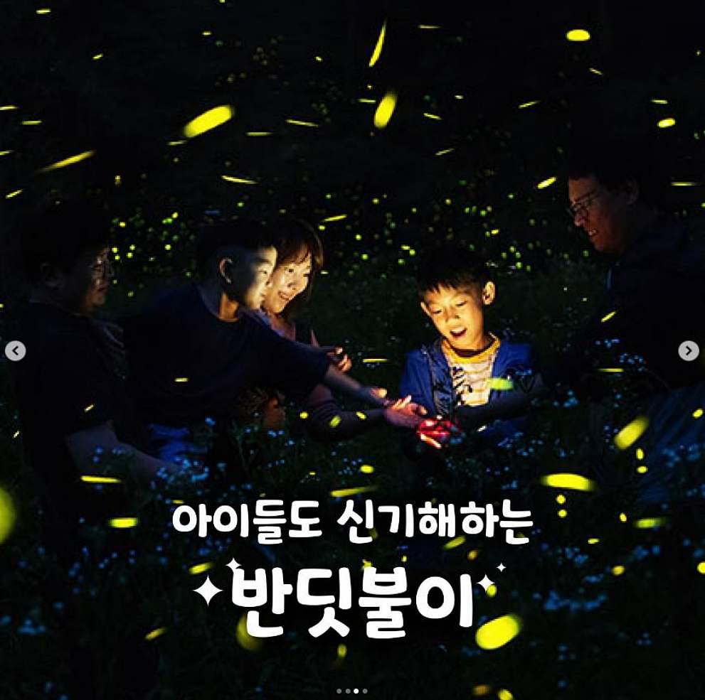 무주반딧불축제 주차장