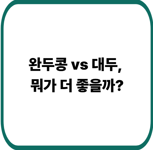 완두콩 vs 대두 효능 비교 : 단백질부터 건강 효과까지 한눈에 정리