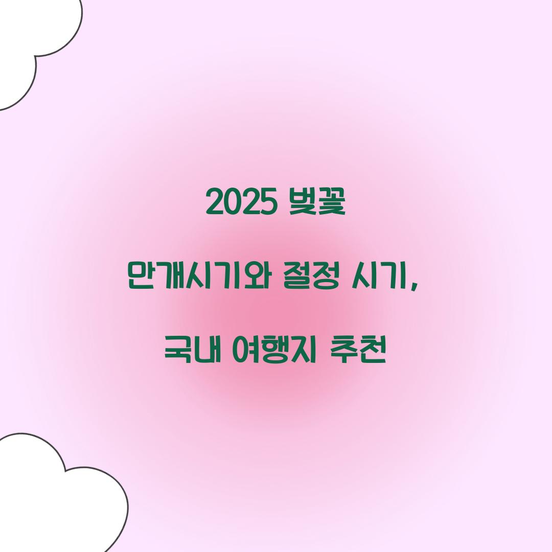 2025 벚꽃 만개시기