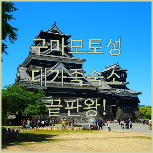 구마모토성 도보 9분 미라이 스테이 ..