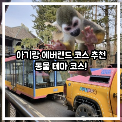 아기랑 에버랜드 코스 추천, 동물 테마 코스!