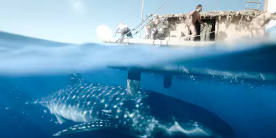 콘티키 위대한 항해