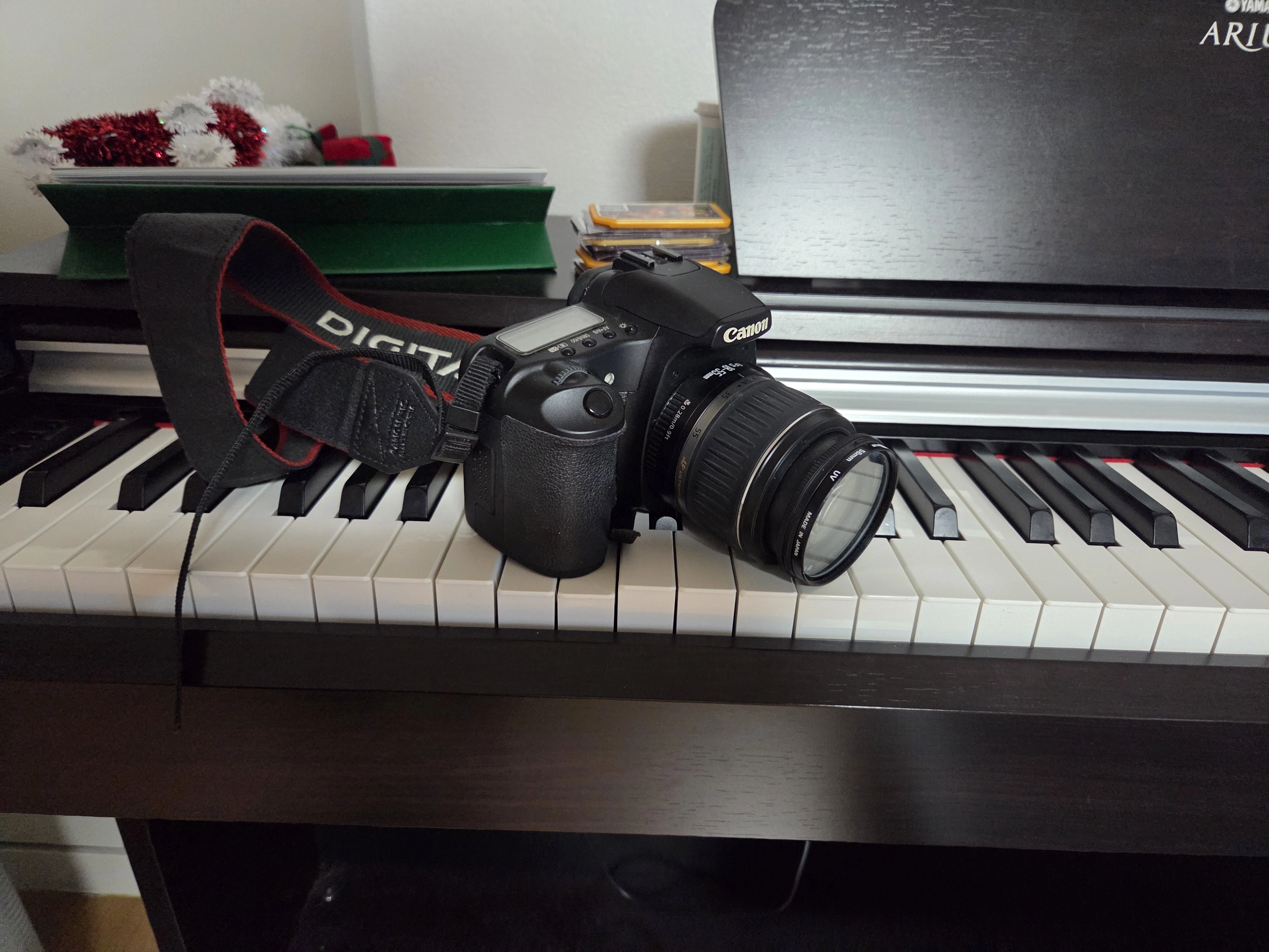 Canon EOS 30D 전원을 켰다가 다시 끄게 된 밤