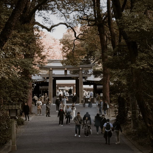 일본 유학 비용 완벽 가이드! 성공하는 준비 체크리스트