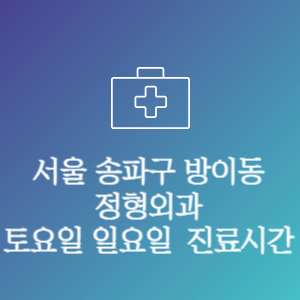 서울 송파구 방이동 정형외과 주말 토요일 일요일 문여는 병원 진료시간