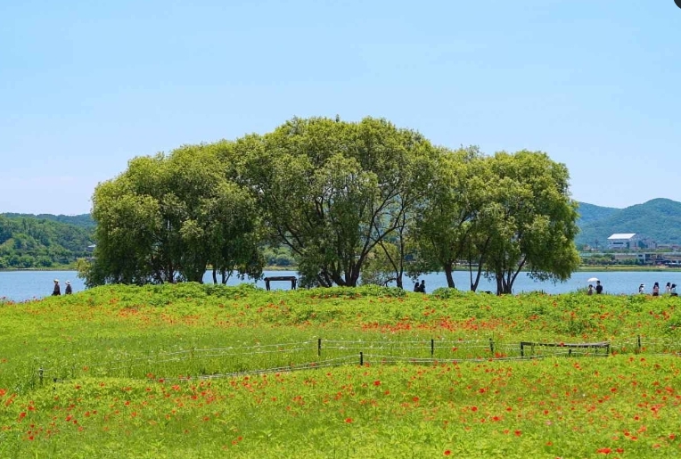 남양주 물의 정원: 남양주시 문화관광 홈페이지 자료 