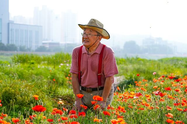 60대 할수 있는 직업