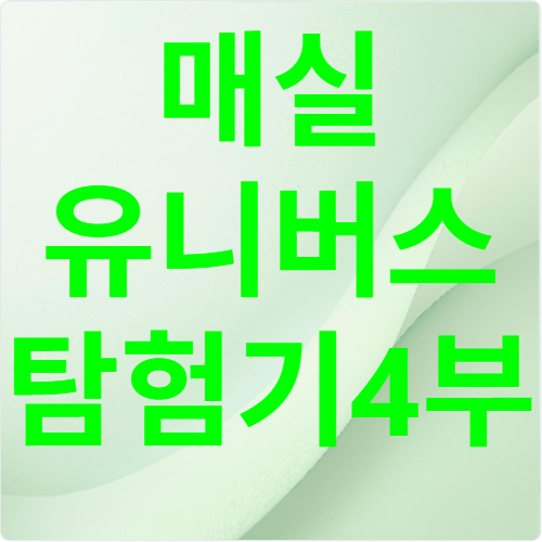 오매 백매 금매 이야기