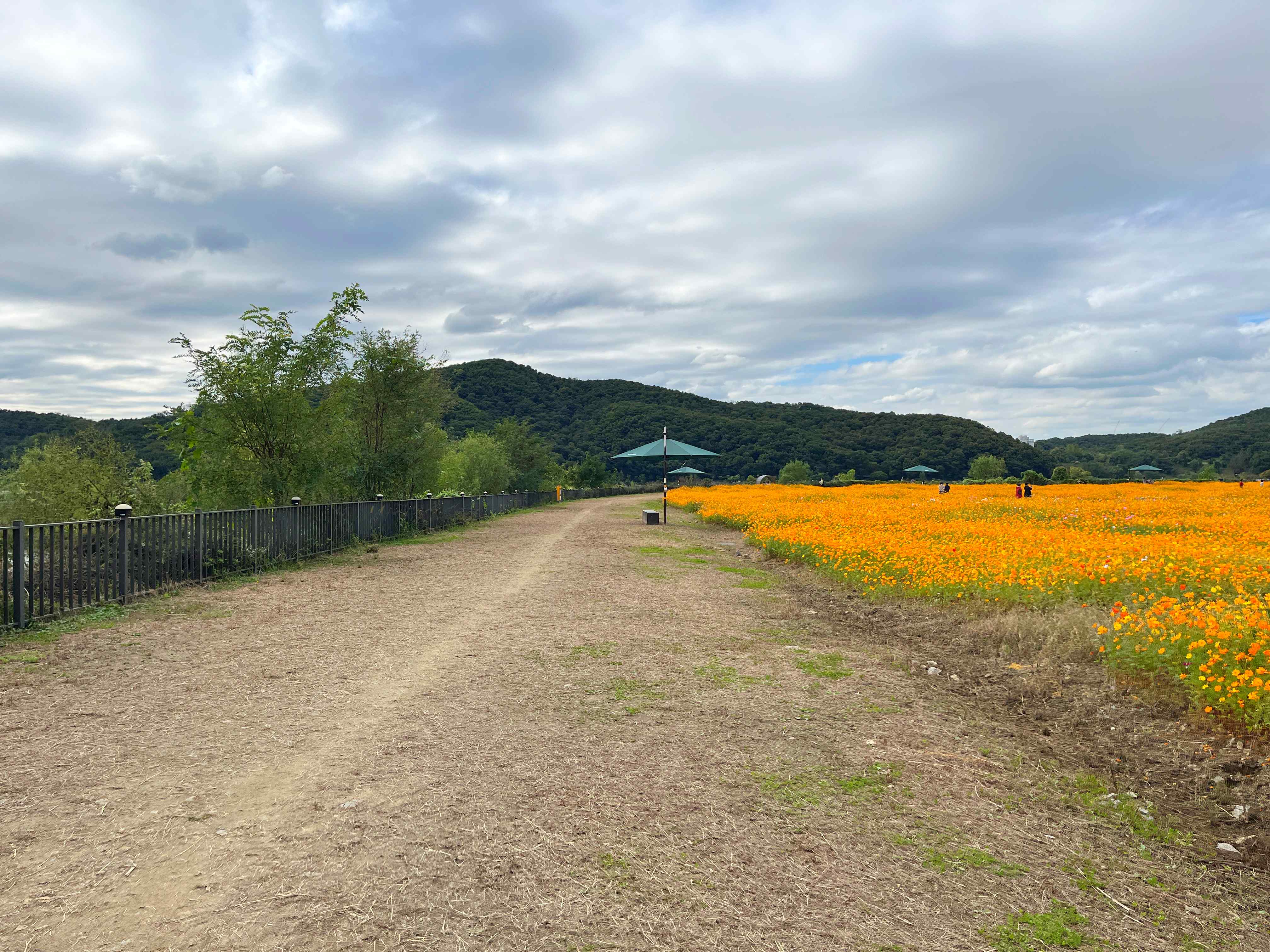 용인 기흥 호수공원