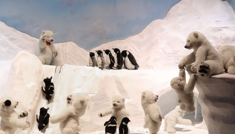 여수 테디베어뮤지엄