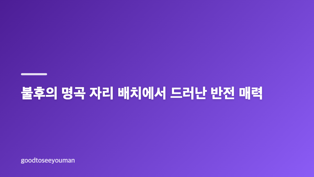 채연 47세 데뷔 24년 방송막내가 된 이유