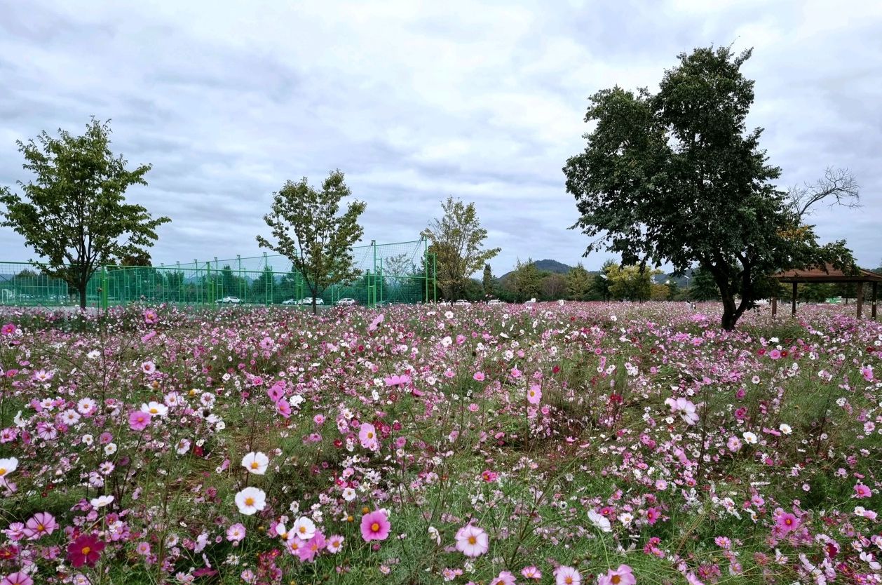 낙동강체육공원
