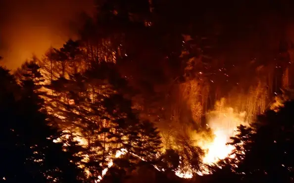 산불-벌금-처벌