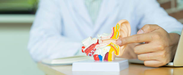 항공성 중이염, 비행기 귀통증, 귀막힘 원인과 증상 예방까지 참고하시기 바랍니다.