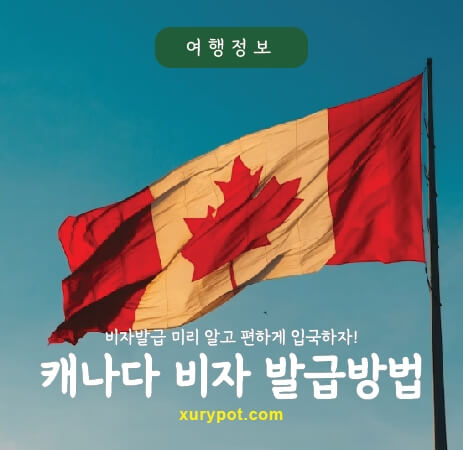 캐나다 국기 사진