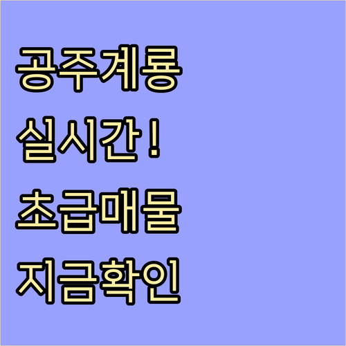 공주 계룡 교차로 부동산 실시간 급매..