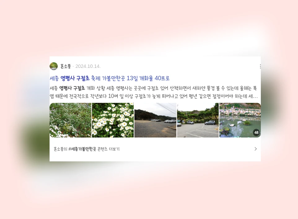 영평사구절초_3_subsection