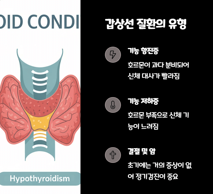 갑상선 기능 이상 자가진단