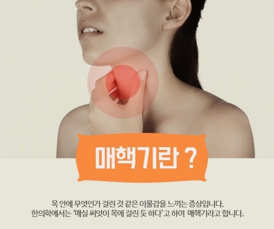 목에 뭔가 걸린 듯한 느낌이 있는 병인 매핵기를 형상화 한 사진과 매핵기를 설명한 글이 있는 이미지 사진