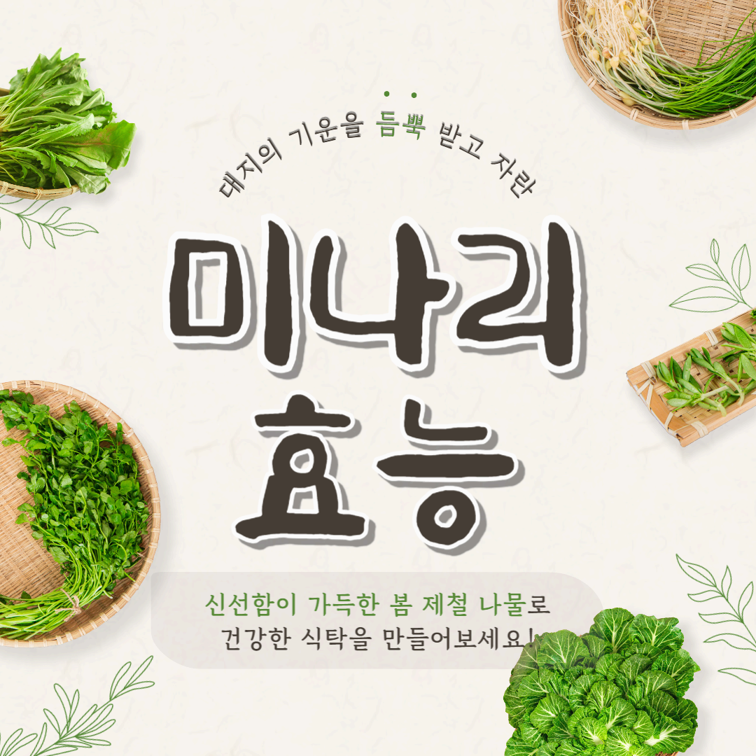 미나리 효능 및 부작용 먹는 법과 보관법까지