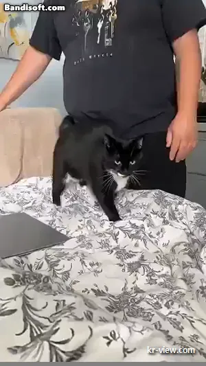 img.webp?credential=yqXZFxpELC7KVnFOS48ylbz2pIh7yKj8&expires=1767193199&allow_ip=&allow_referer=&signature=m7d43ouUePdZ3IyWYsC8NU%2F71rA%3D